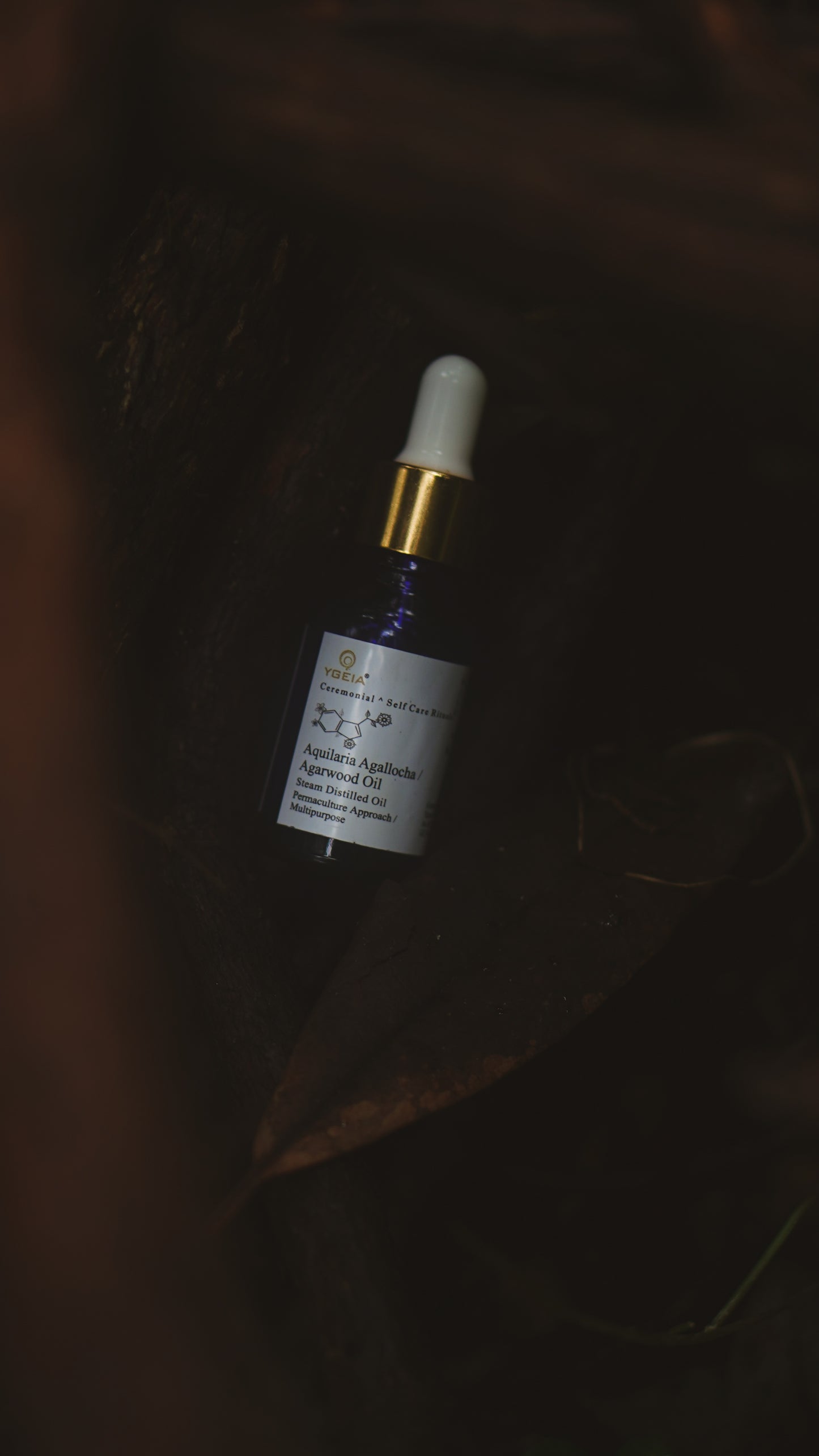 Agarwood / Oud Steam Distilled Oil