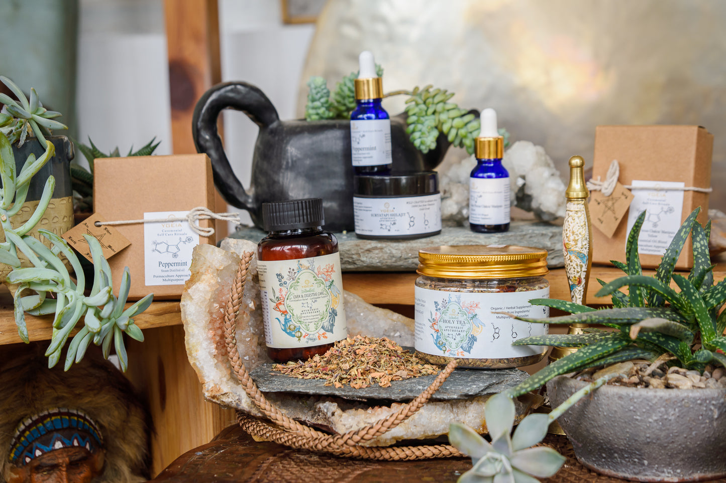 Gut Cleanse / Detox Bundle