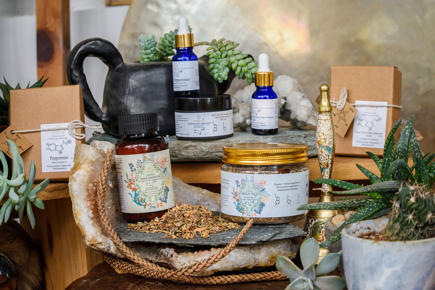 Gut Cleanse / Detox Bundle