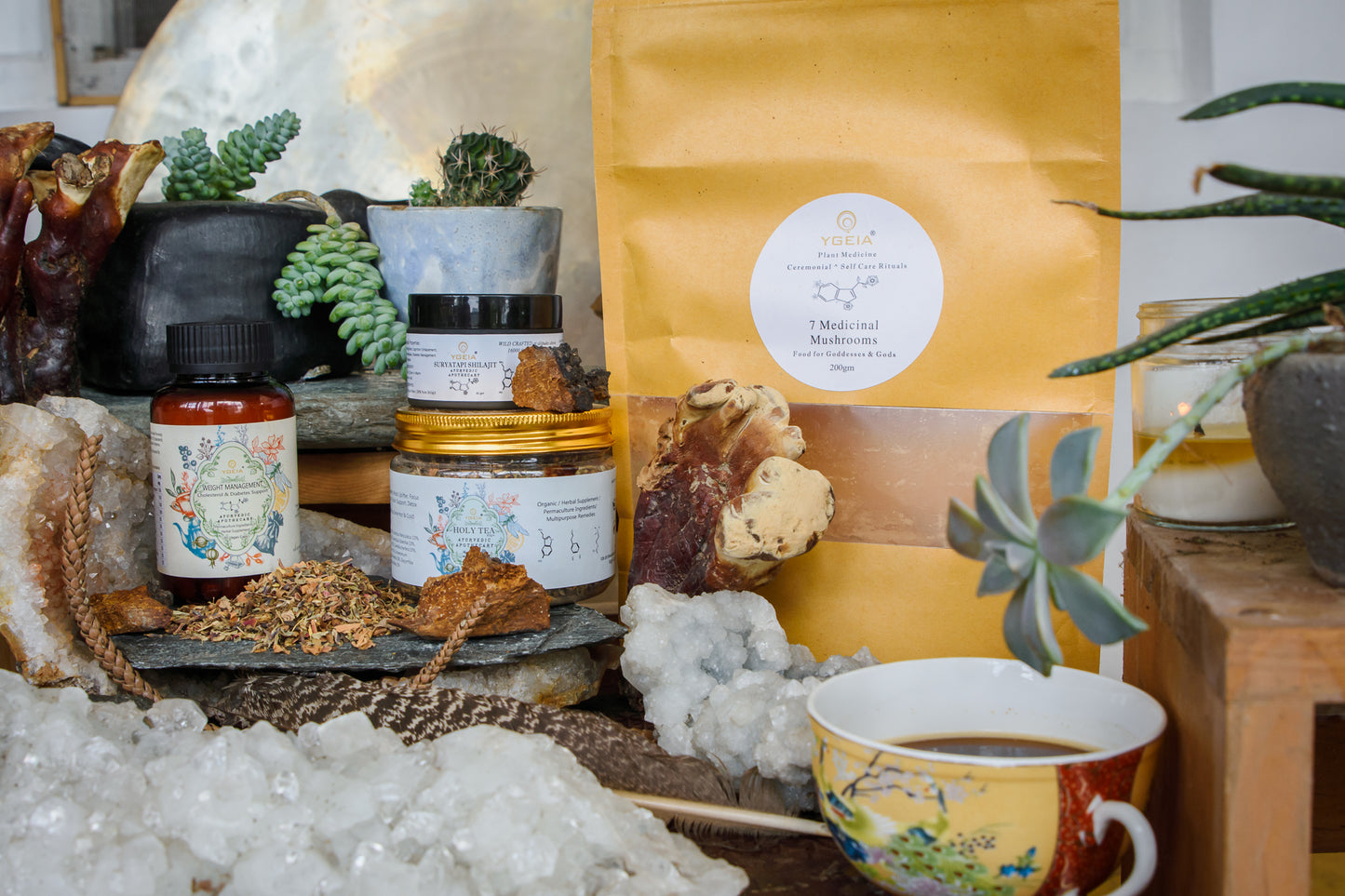 Weight Management Bundle