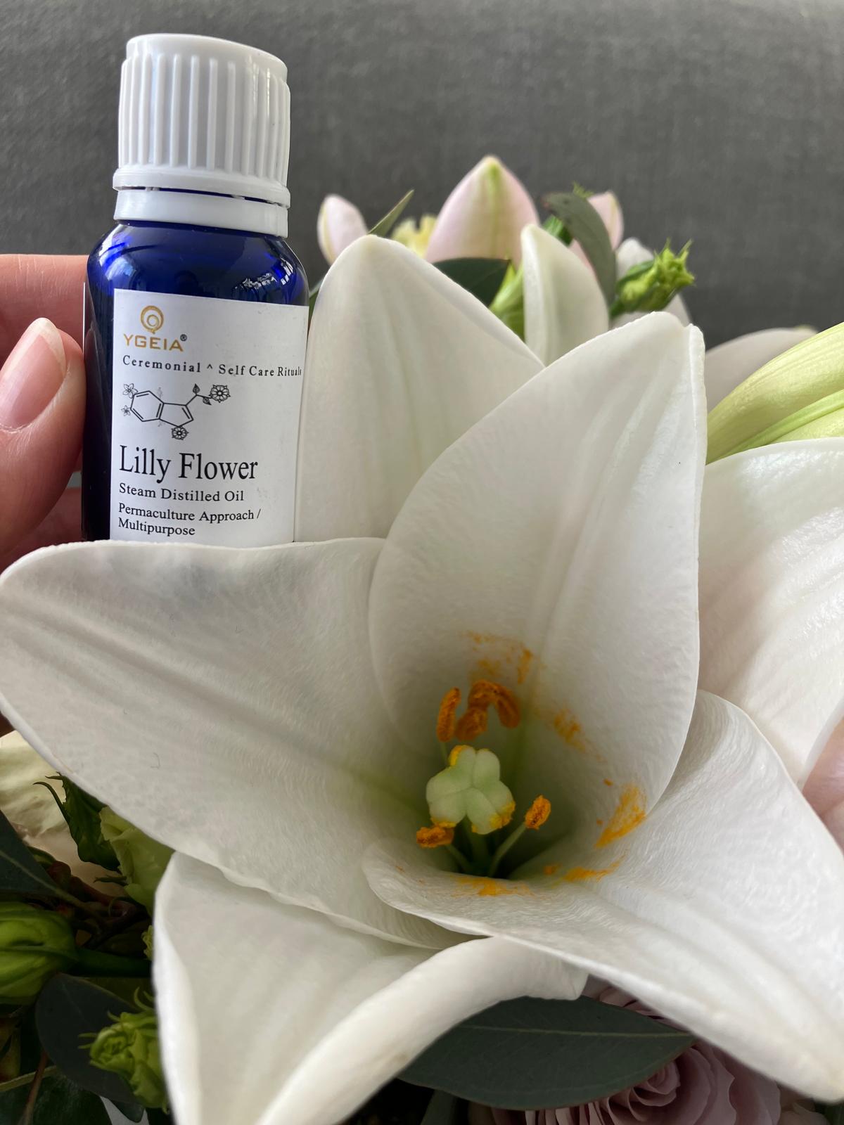 Lily Flower ' Steam Distilled oil