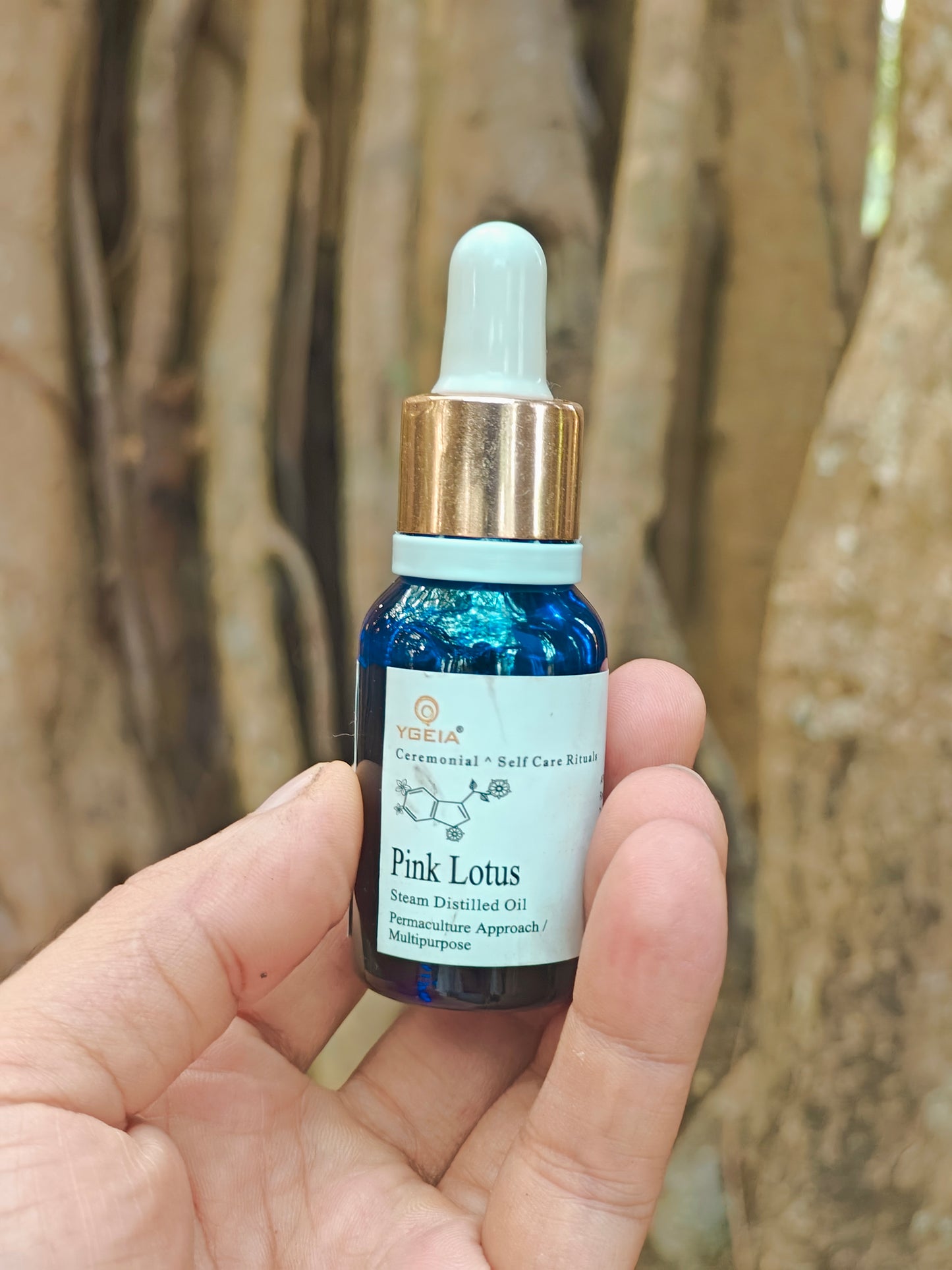 Pink lotus steam distilled oil