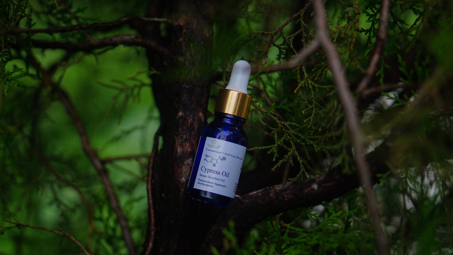 Cypress Steam Distilled Oil