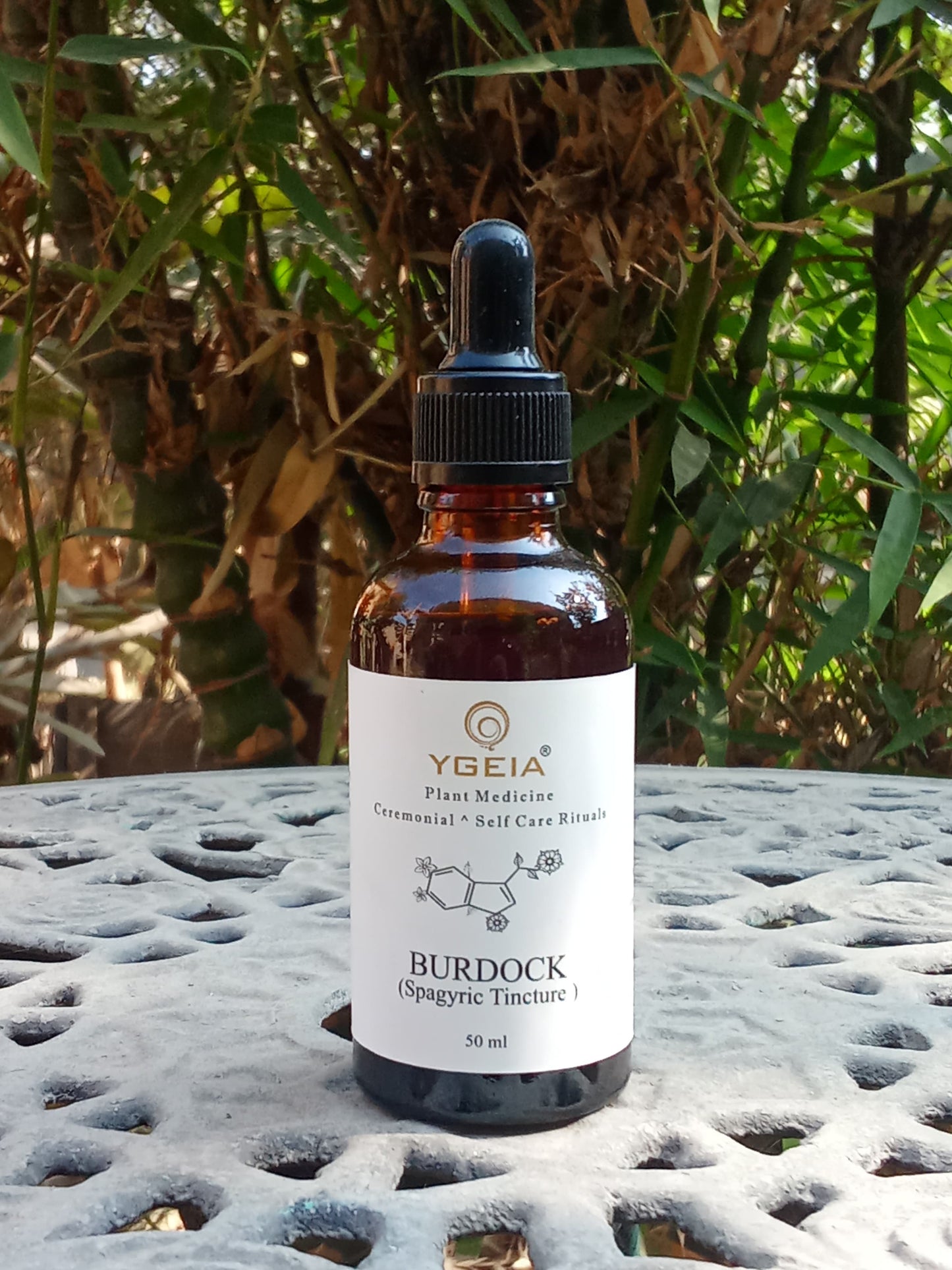 Burdock | Spagyric Tincture