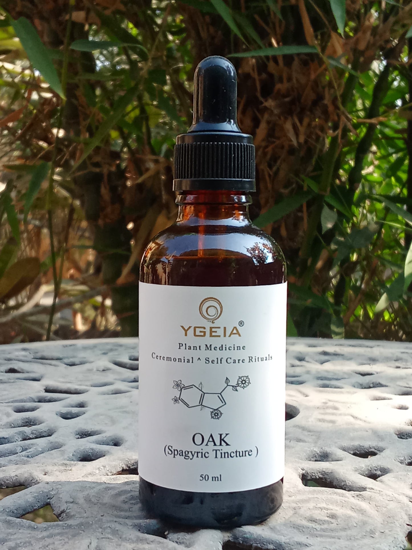 Oak, Spagyric Tincture 50 ml