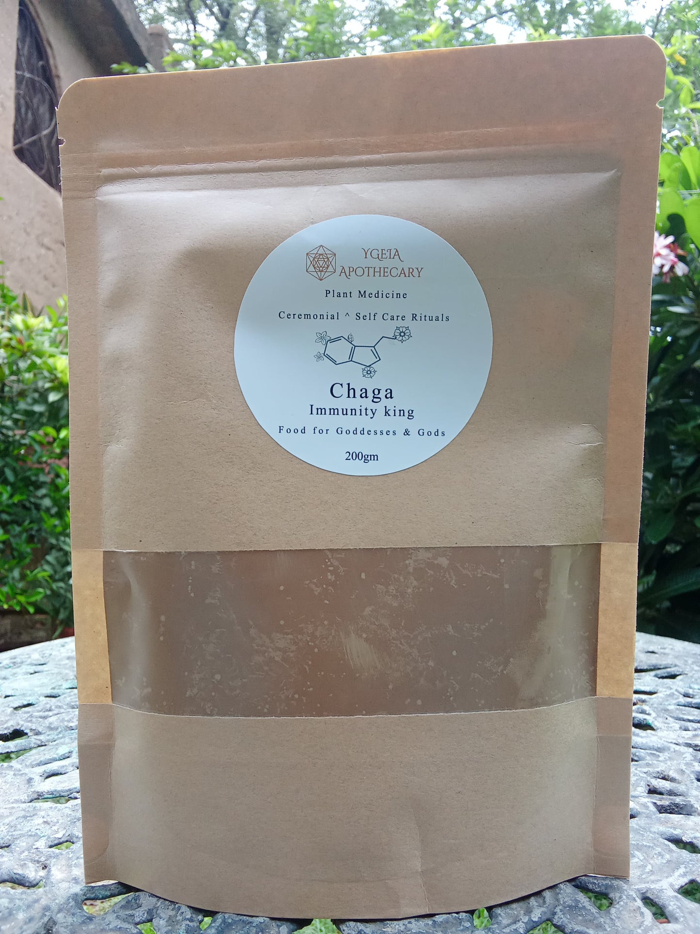 Chaga mushroom powder