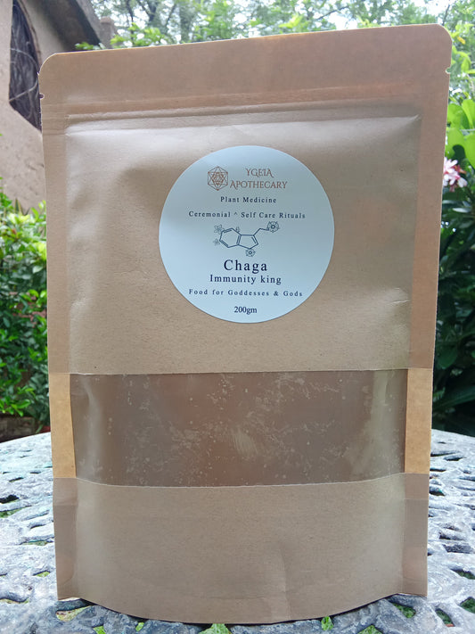 Chaga mushroom powder