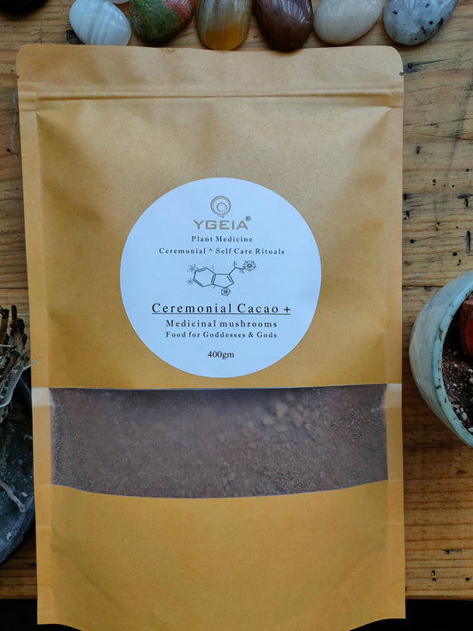 Ceremonial Cacao with 7 Medicinal Mushrooms