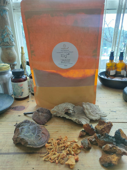 7 Medicinal Mushroom Adaptogenic Blend