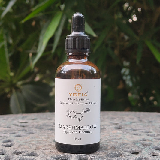 Marshmallow Spagyric Tincture 50 ml