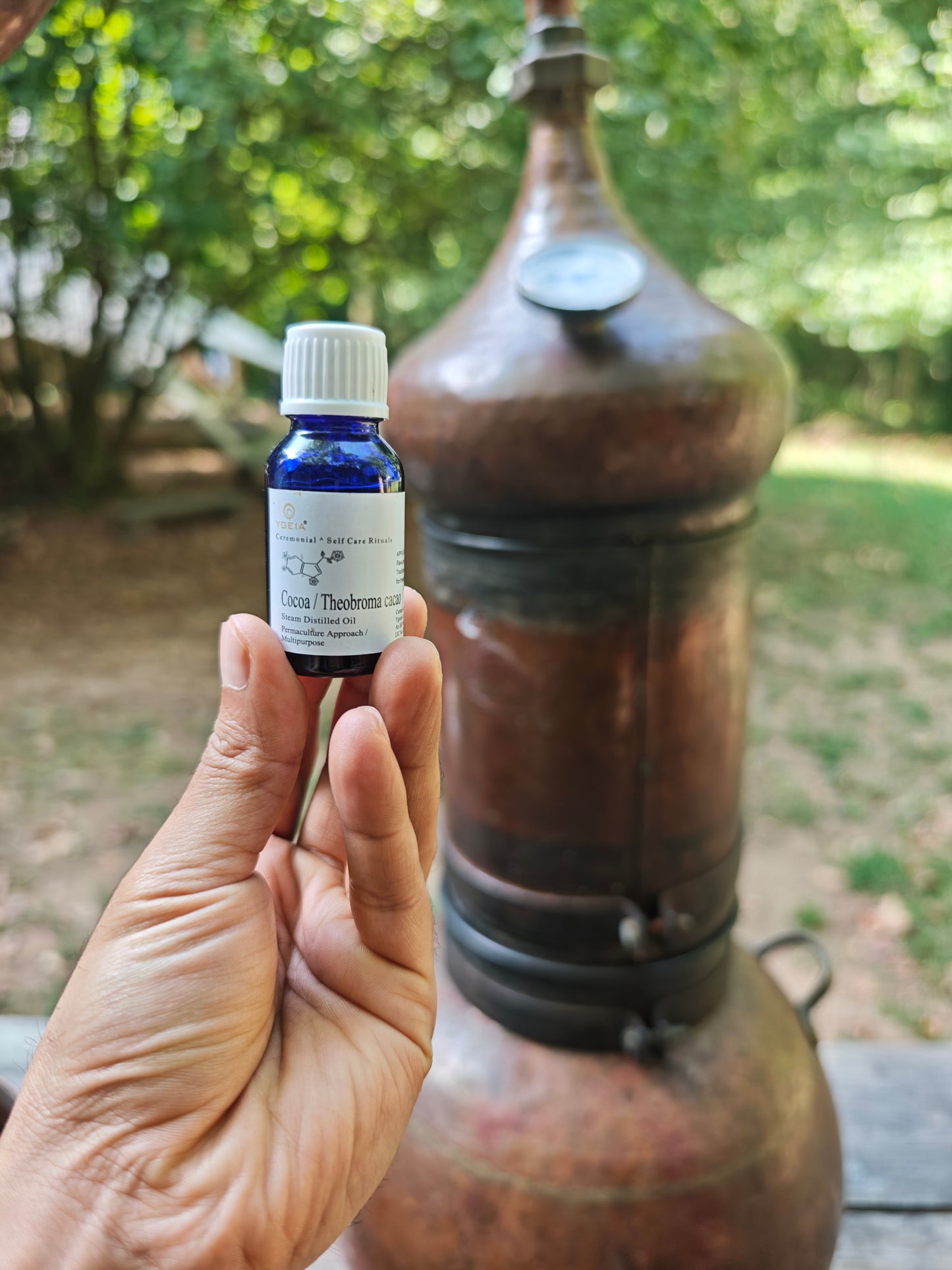 Cacao Steam Distilled Oil