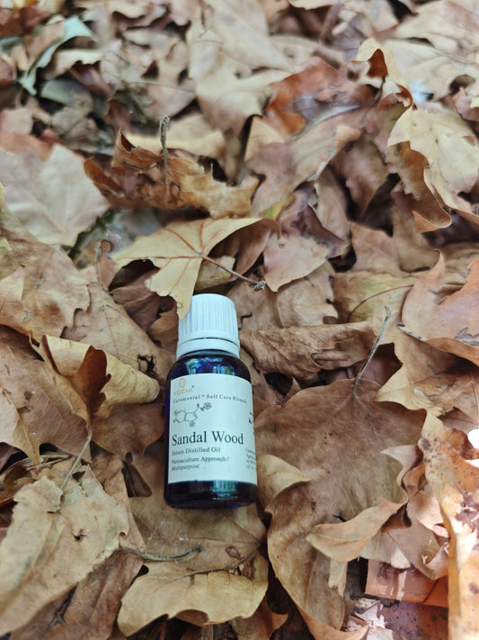 Sandalwood Steam Distilled Oil
