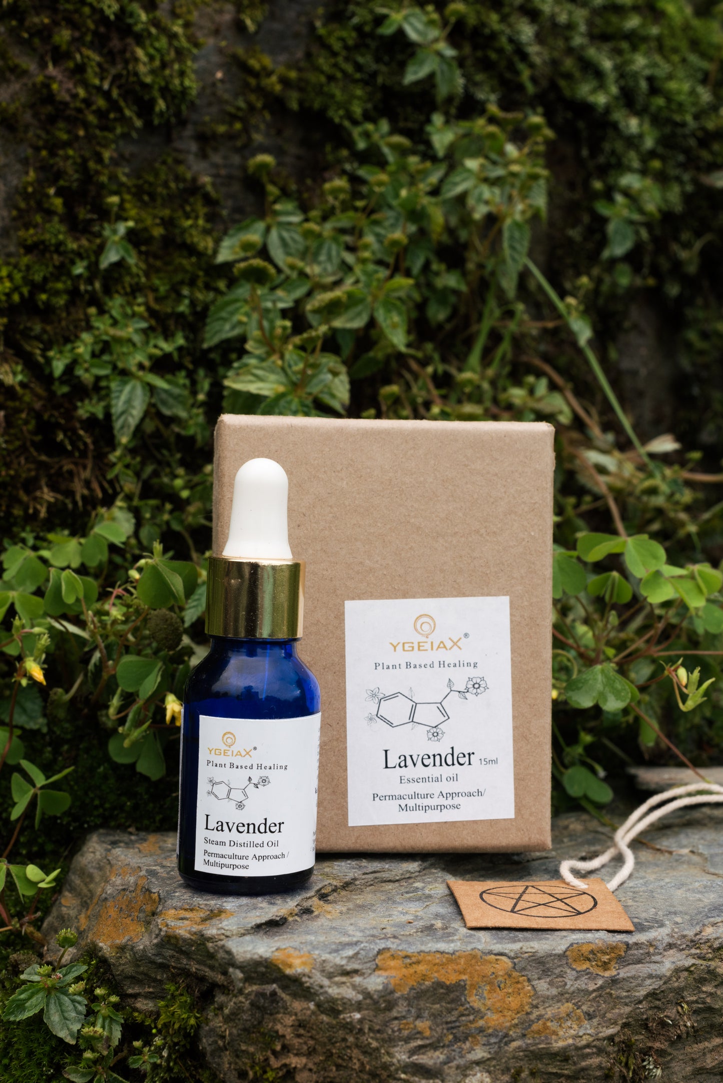 Lavender Steam Distilled Oil