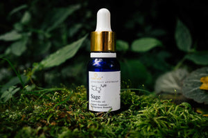 Sage leaf Steam Distilled Oil