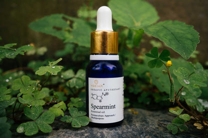 Spearmint Steam Distilled Oil